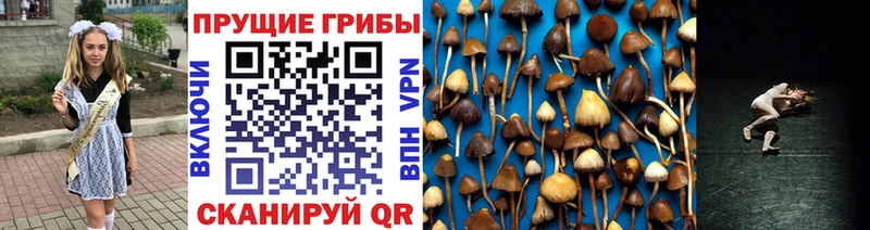 Псилоцибиновые грибы мухоморы Липецк