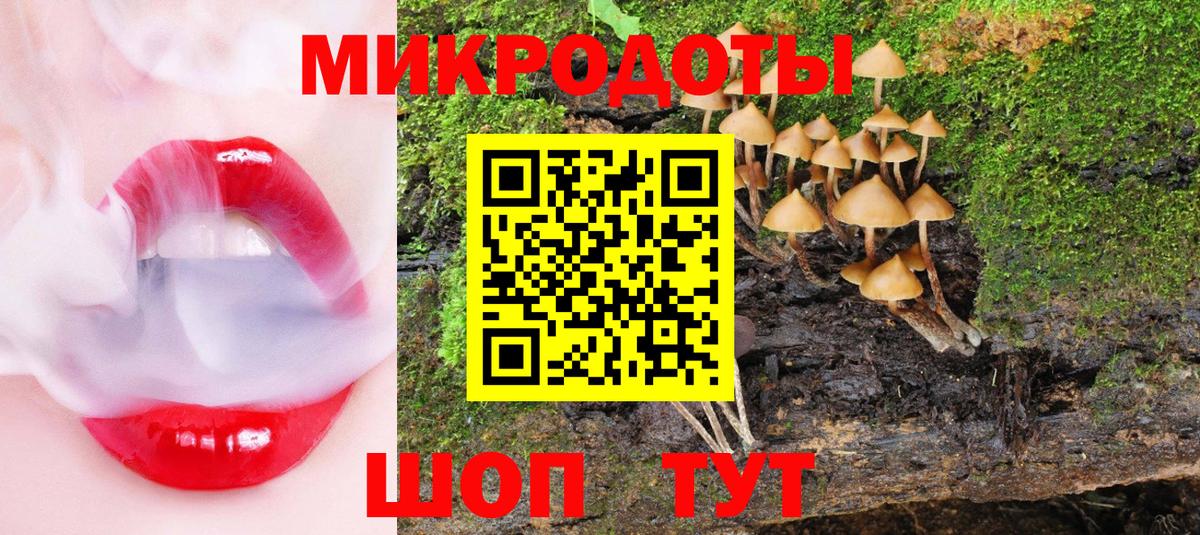 Галлюциногенные грибы Magic Shrooms Липецк