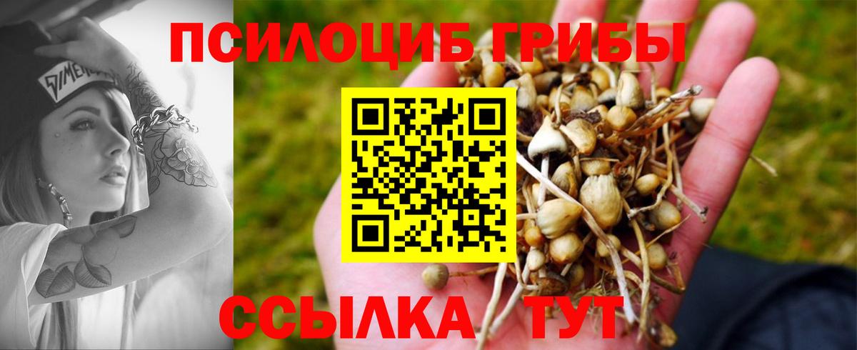 Псилоцибиновые грибы GOLDEN TEACHER  Вход с VPN  Липецк 